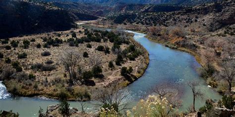 Feds call off pesticide spraying near New Mexico’s Rio Chama to kill invasive grasshoppers