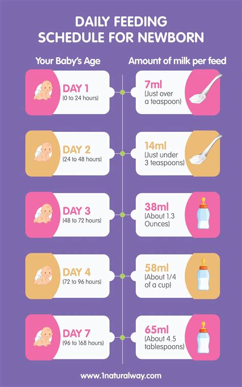 Feed times. At the same time, babies eat often because their stomachs are teeny and can only hold so much breastmilk or formula. Think about it like this: While your ... 