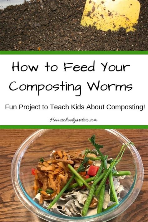 Feeding Compost Worms: What, When, & How {Guest Post}