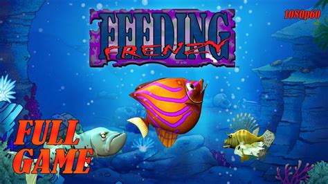 Feeding Frenzy Help