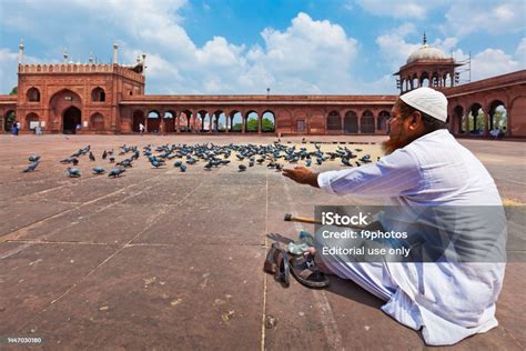 Feeding pigeons in islam. .  <a href=https://back.metricahealth.co/assets/images/fvk...