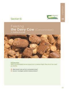 Feeding the Dairy Cow (Concentrates) - Teagasc