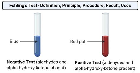 Fehling test.  Both tests are essential for identifying reducing sugars, but they dif...