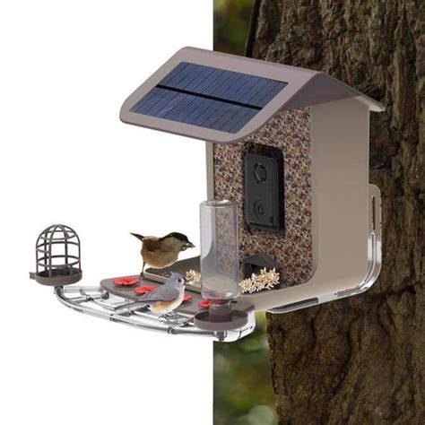 The Sweeney Bird Bistro holds 6 to 8 lbs. of bird feed. Select from three popular colors, Oriental Red, Hartford Green and Champagne . Add an optional solar charger and enjoy years of continuous performance without interruption. Each bird feeder comes equipped with a rechargeable 6 volt battery (BT626) and Premium Digital Timer (DFT3REV8) that .... 