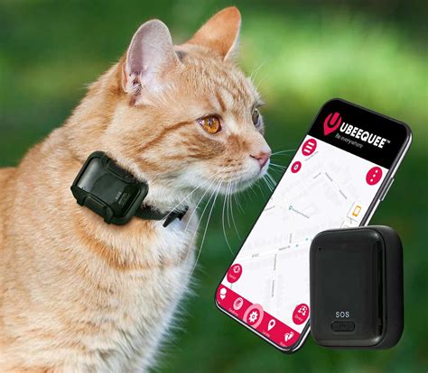 Feline gps tracker. Cat Tracker GPS Collar for Cats - Waterproof & Compatible with Apple Find My, Electronic Pet Locator - No Monthly Fee - Tiny Small Cats Kitten Medium Large Tracking Smart Collar. 3.0 out of 5 stars. 1. $19.99 $ 19. 99 ($19.99 $19.99 /Count) Typical: $29.99 $29.99. 30% coupon applied at checkout Save 30% with coupon. 