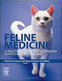 Feline medicine a practical guide for veterinary nurses and technicians 1e. - Volvo s40 and v40 service repair manual free download.