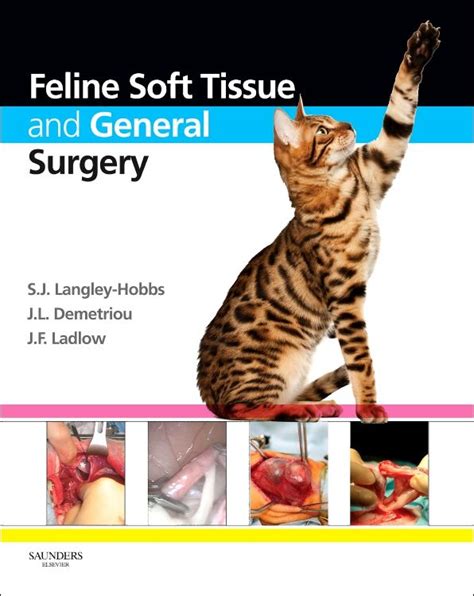 Read Feline Soft Tissue And General Surgery Ebook By Sorrel J Langleyhobbs