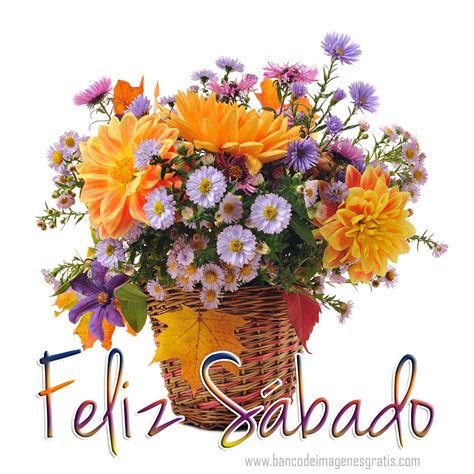 Feliz sábado con flores. Things To Know About Feliz sábado con flores. 