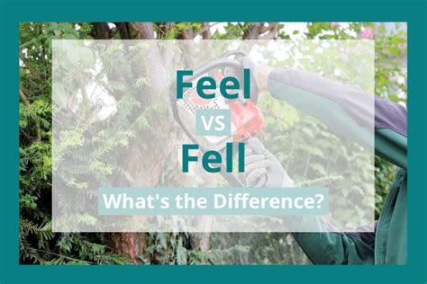 Fell vs Fall vs Felt