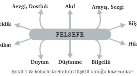 Felsefe nedir.
