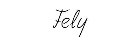 Fely Font Download for Free - FFonts.net