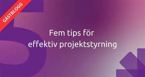 Fem tips f&ouml;r h&auml;star p&aring; boxvila - Hippson