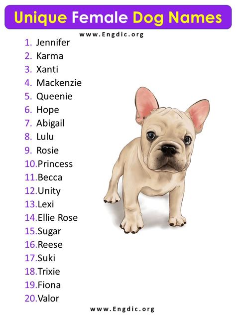 Female Bulldog Puppy Names