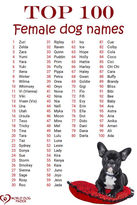 Female Dog Names That Mean Strong And Beautifu