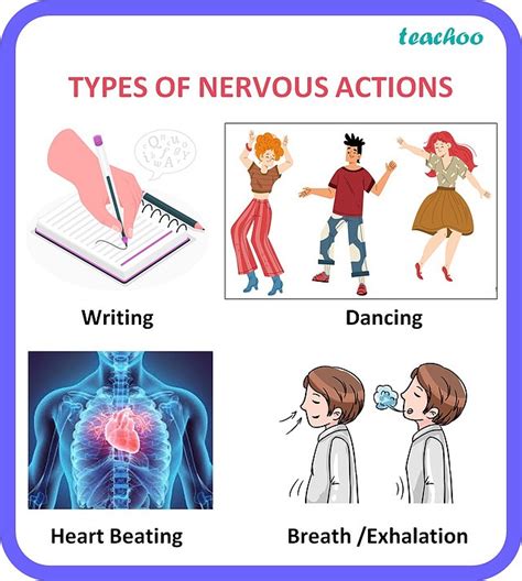 Female sexual problem.  The physical aspects include actions by the nervous, ...