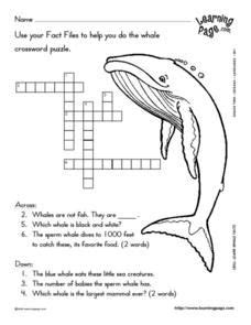 Young whale. Crossword Clue Here is the answer for the crossword clue Young whale last seen in Eugene Sheffer puzzle. We have found 40 possible answers for this clue in our database. Among them, one solution stands out with a 95% match which has a length of 4 letters. We think the likely answer to this clue is CALF. Crossword Answer: