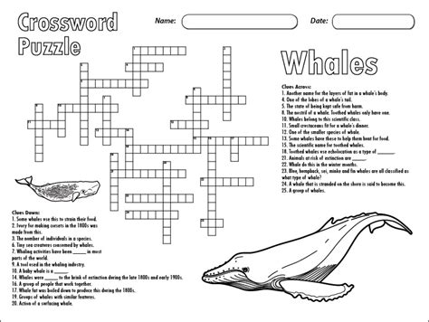 The Crossword Solver found 30 answers to "whalebone whale (7)", 7 letters crossword clue. The Crossword Solver finds answers to classic crosswords and cryptic crossword puzzles. Enter the length or pattern for better results. Click the answer to find similar crossword clues . Enter a Crossword Clue. A clue is required.. 