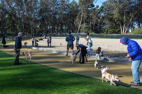 Fenced dog park. Fence posts are ideally buried at about one-third to one-half the size of the post that is above the ground. Before the posts are buried, it is a good idea to treat the buried port... 