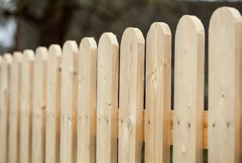 Fences and Neighbours - your rights and obligations…