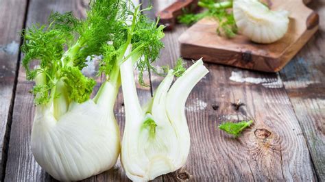 Fenchel: Zubereitung, Wirkung, Lagerung und leckere Rezepte der Knolle