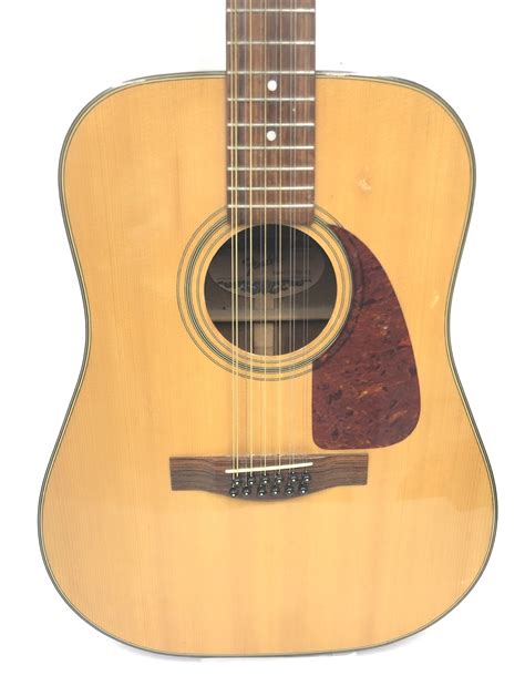 Fender F310 12 Price