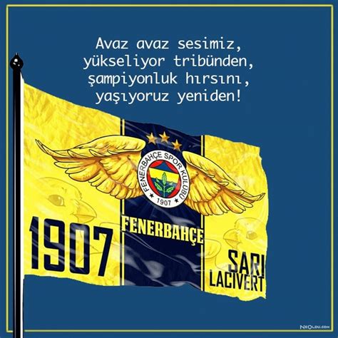 Fenerbahçe nin en güzel resimleri