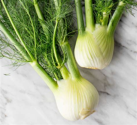 Fennel bulb. May 12, 2015 · Roast fennel stalks develop a caramel-like sweetness, and recipes where the bulb is pan-fried also mean that the clean white flesh turns golden, and the flavours mellow and become more rounded. Fennel bulbs can also be boiled or steamed. This curbs the bitterness, without introducing any sweet-caramel notes. Boiling or steaming fennel softens ... 
