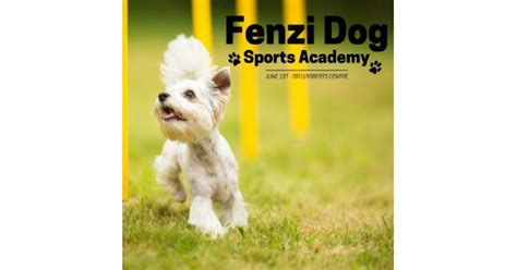 Fenzi dog sports academy. Things To Know About Fenzi dog sports academy. 