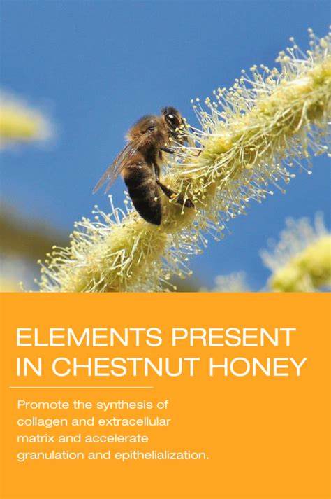 codini.rgarabwor.edu.pl. 