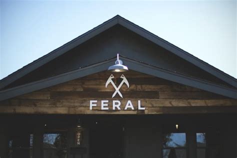 Feral denver. Things To Know About Feral denver. 