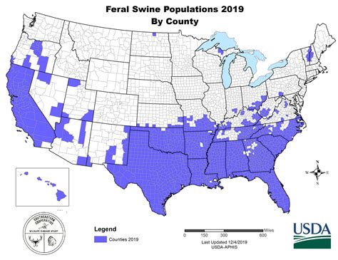 Feral swine are descendants of escaped or released pigs. Feral swine are called by many names including; wild boar, wild hog, razorback, piney woods rooter, and Russian or …. 