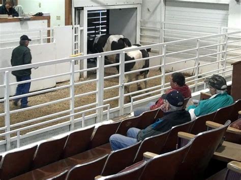 Fergus Falls Livestock Auction, Fergus Falls, Minnesota. 2,649 likes · 24 talking about this · 54 were here. We sell consigned cattle every Tuesday. Fergus Falls Livestock Auction. 