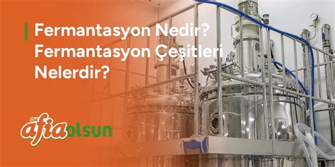 Fermantasyon Nedir.