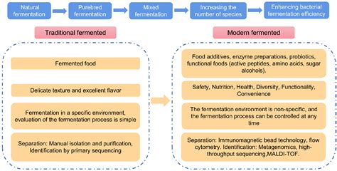 Fermentation Free Full-Text Looking at the Origin: Some ... - MDPI