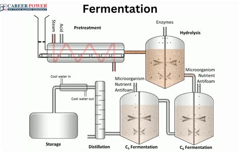 Fermentation Process: Introduction, Progress and Process | Industries | Biotechnology (2025)