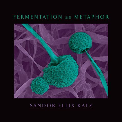 Read Fermentation As Metaphor By Sandor Ellix Katz