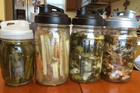 Fermented Foods and Human History - Fermented Foods - Brewiki