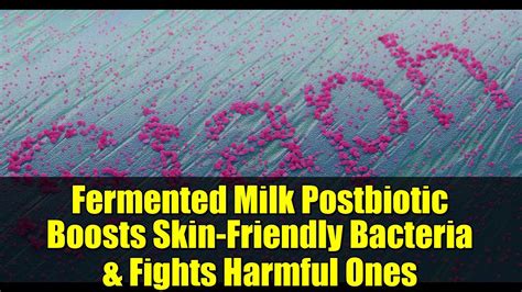 Fermented Milk Postbiotic Boosts Skin-Friendly Bacteria & Fights Harmful Ones (2025)