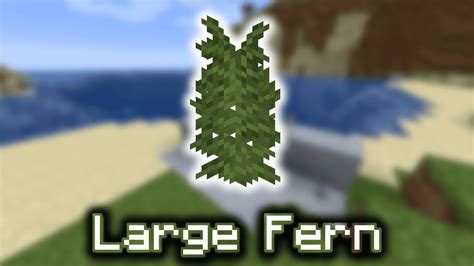 Fern in Minecraft