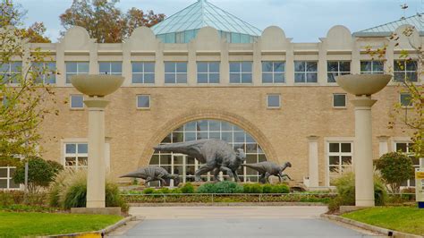 Fernbank. Fernbank is a nonprofit natural history museum, giant screen theater and old-growth forest, and is not affiliated with Fernbank Science Center, which operates as a division of DeKalb County Schools. 767 Clifton Road, Atlanta, GA 30307 Guest.Services@FernbankMuseum.org. 404.929.6300. 