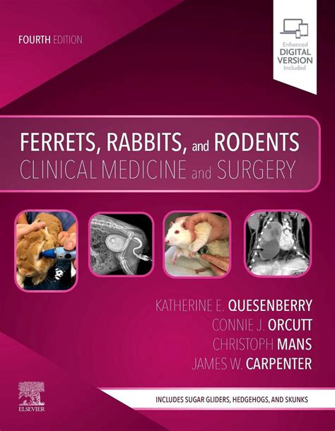 Read Online Ferrets Rabbits And Rodents Clinical Medicine And Surgery By Katherine Quesenberry