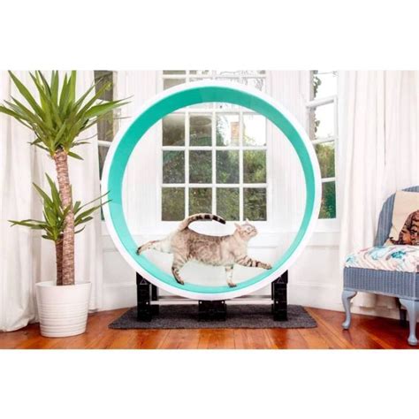 Ferris Cat Exercise Wheel GEN5 – Ferris Cat Wheel Australia