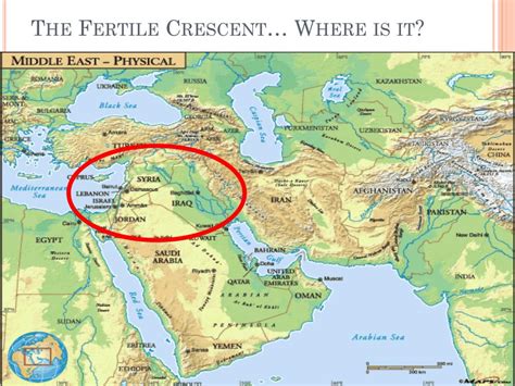 FertileCrescent Arabians - Startside