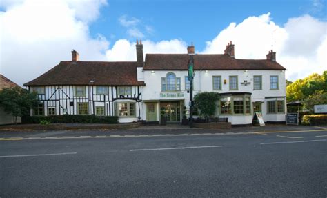 Festive Celebration Green Man Chef and Brewer