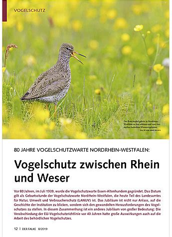 Festschrift zum 25jährigen bestehen der nordrhein westfälischen vogelschutzwarte essen altenhundem. - Círculo hermético ; el eterno retorno ; elella.