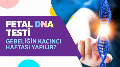 Fetal DNA Testi Recep Has.