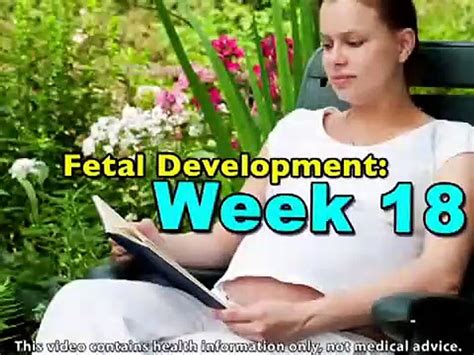 Fetal Development Week 18 Pregnancy Health Guru YouTube