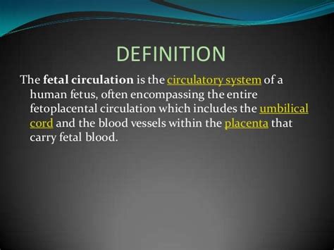 Fetal circulation Definition & Meaning - Merriam-Webster