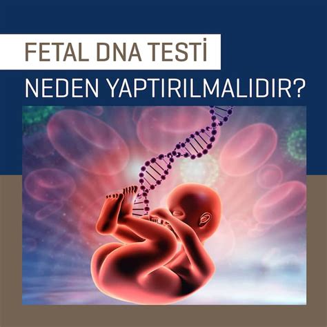 Fetal dna testi ücreti 2021
