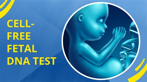 Fetal dna testi fiyatı 2017